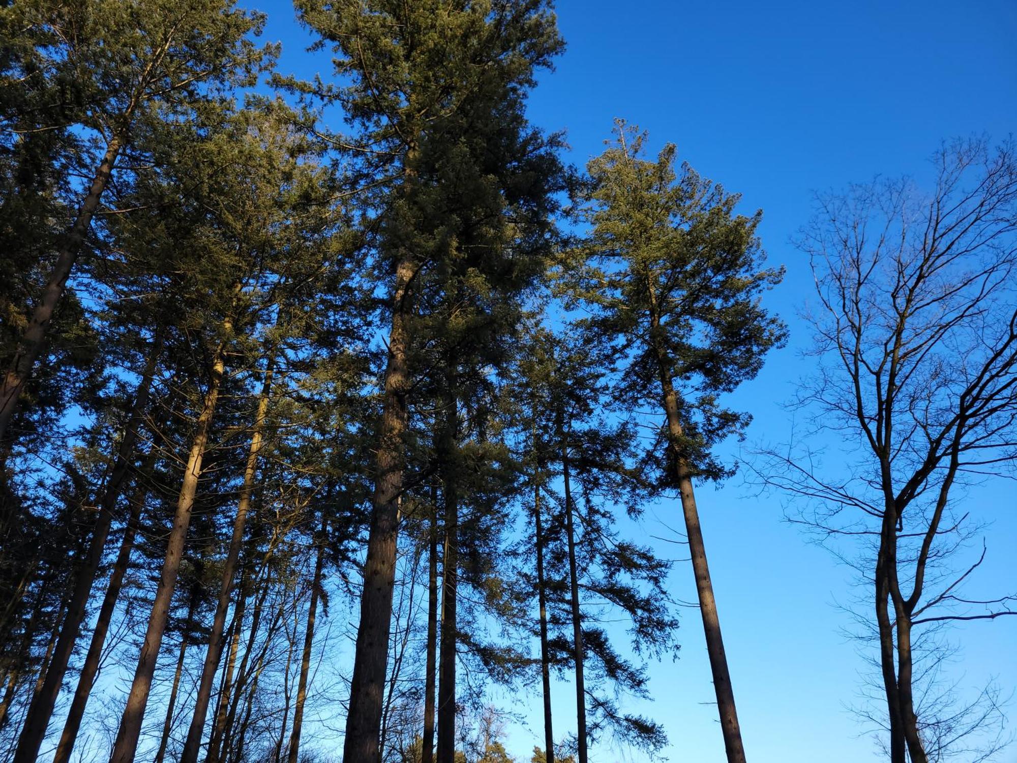 Secret Wellness Puur Natuur Holten Exteriör bild