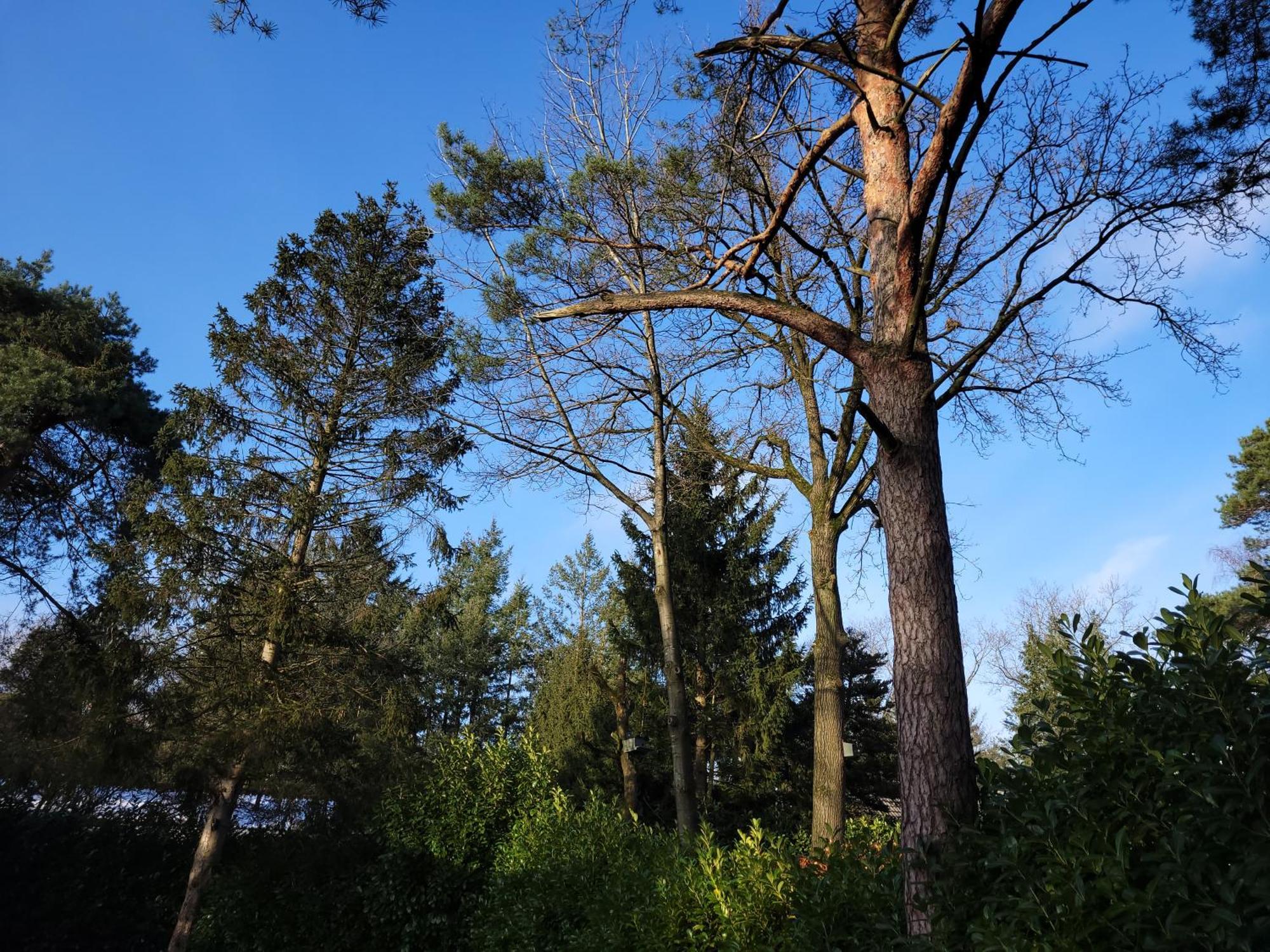 Secret Wellness Puur Natuur Holten Exteriör bild