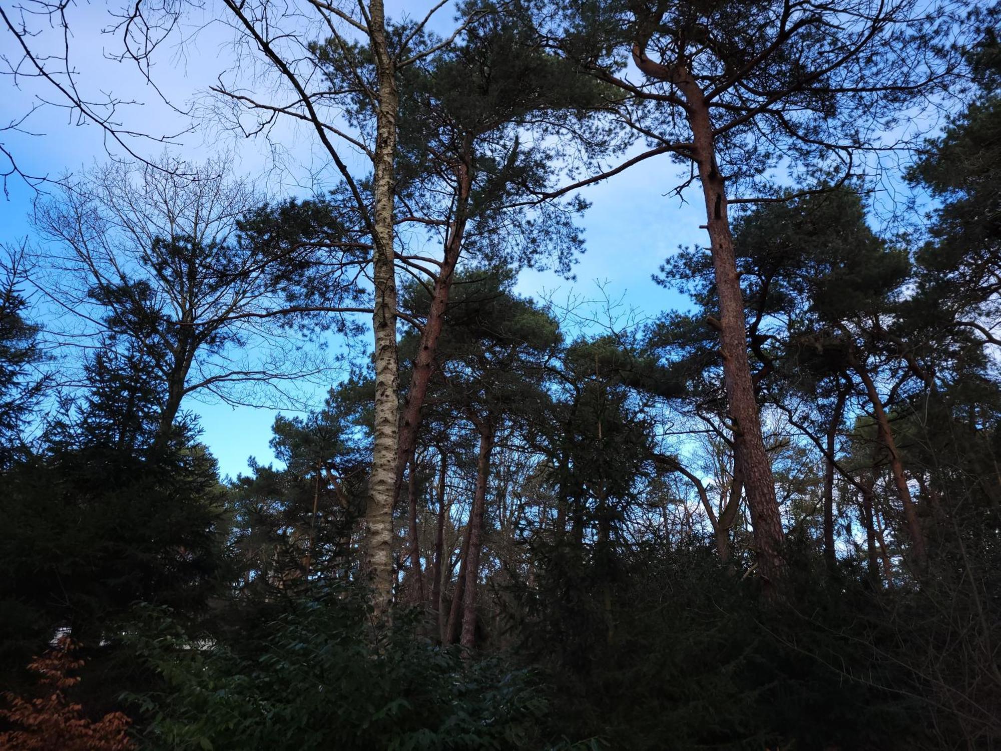 Secret Wellness Puur Natuur Holten Exteriör bild